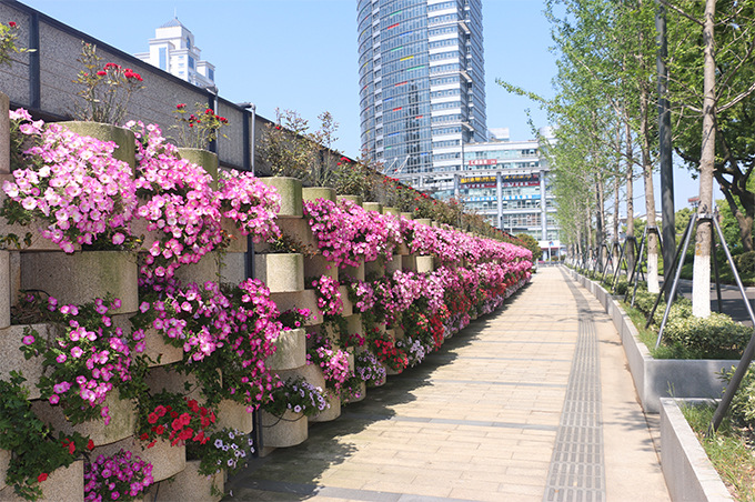 宁波中山路